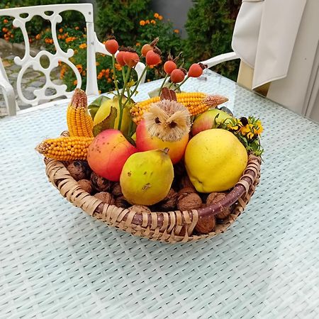 Casa Continentelor Hotell Cîmpulung Eksteriør bilde