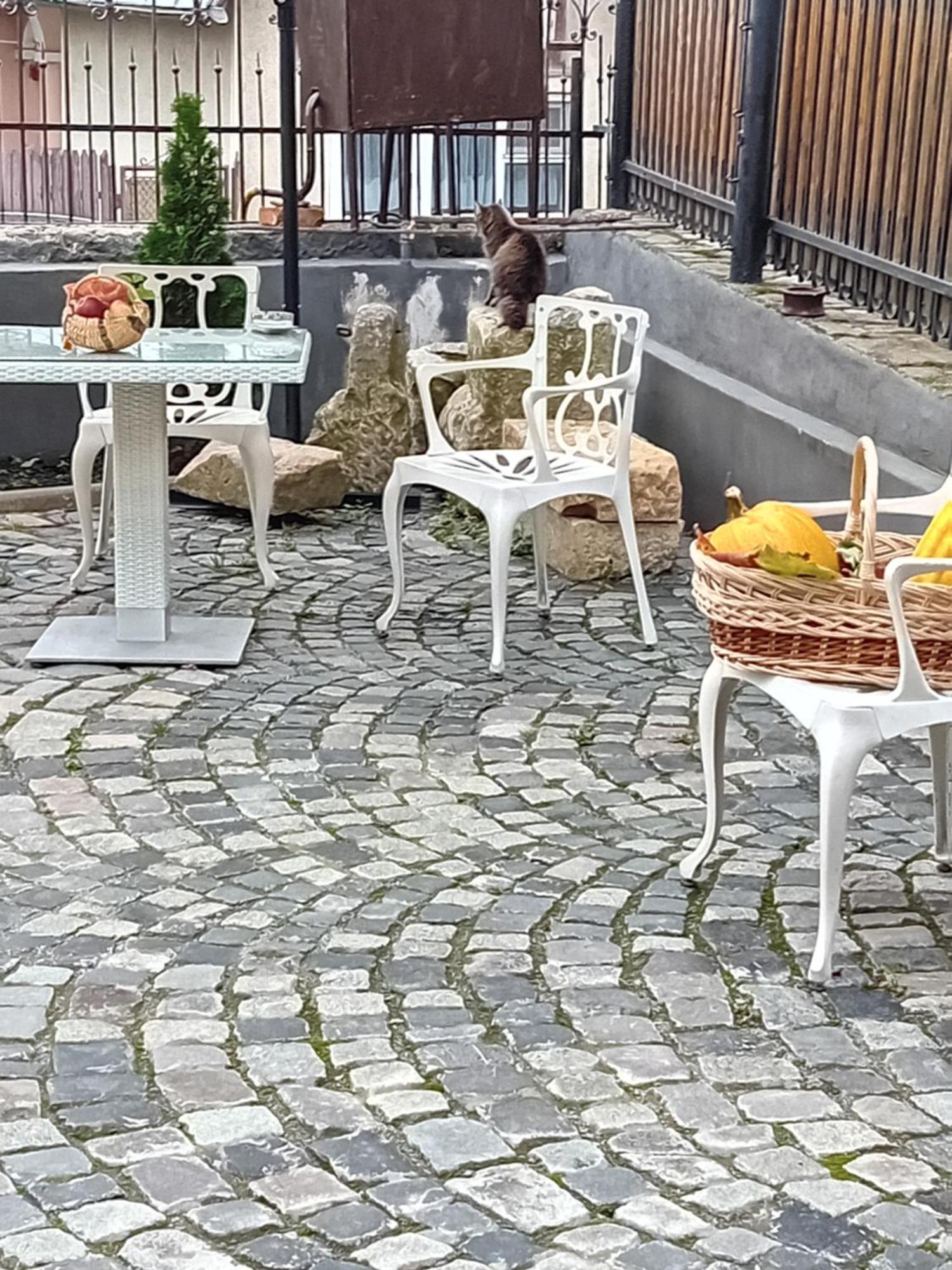 Casa Continentelor Hotell Cîmpulung Eksteriør bilde